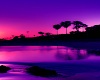Tropical Purple Night