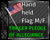 U.S. Hand Held Flag w Pl