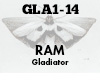 RAM Gladiator