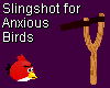 Bird Slingshot 4 Anxious