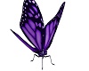 *BK*Ride a Butterfly