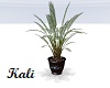 Hidden Magic Plant 2