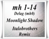 Moonlight Shadow Remix
