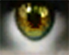 Gold Devil Green Eyes