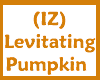 (IZ) Levitating Pumpkin