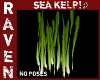 SEA KELP SEA GRASS!