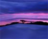 purple sky surround