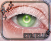 Contractor Eyes v04 F/M
