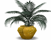 Plant w/ Gold Vase