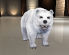 (S)Polar bear ani