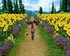 *MIA* Sunflower BikePath