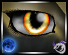 FP Lemon Eyes