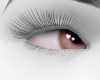 8↳ Doll Eyes>> v1 DR