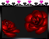 [Night] Amour roses