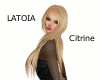 Latoia - Citrine