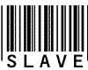 Slave Tag