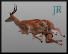 [JR] Beautiful Deer