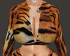 jungle AB