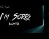 -DJ- I'M SORRY Z