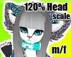 120% Head Scaler M/F