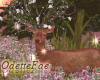 Pond 🦌  Deer
