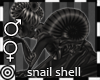 *m Snail Shell Black M F