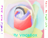 my voicebox