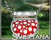 [Sx]Mushrooms Full Set