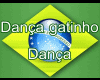 dance gatinho