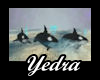 Orcas