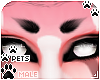 [Pets] Cass | brows