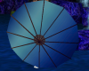 Blue Umbrella M/F