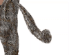 [k] Leopard Tail M/F