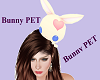 Bunny Pet