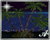 Moonlight Palm Tree