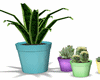 Plants Love e