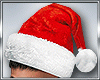 Santa Hat / Animated