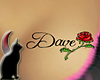 Dave rose breast tat