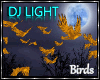 DJ LIGHT - Golden Birds