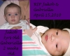 RIP Jakob and Gabirella