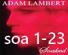 Adam Lambert - Soaked
