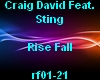 CraigDavid - Rise Fall