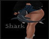 Butt Shark
