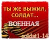 Ty zhe vyzhil soldat