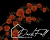 Burnt Orange Roses