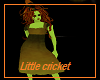 Little cricket dress