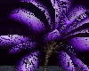 Violet Island tree R&R