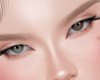 S| Gipsy 2T V1