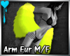 D~Arm Fur:Yellow (M/F)