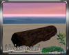 Marooned Beach Log